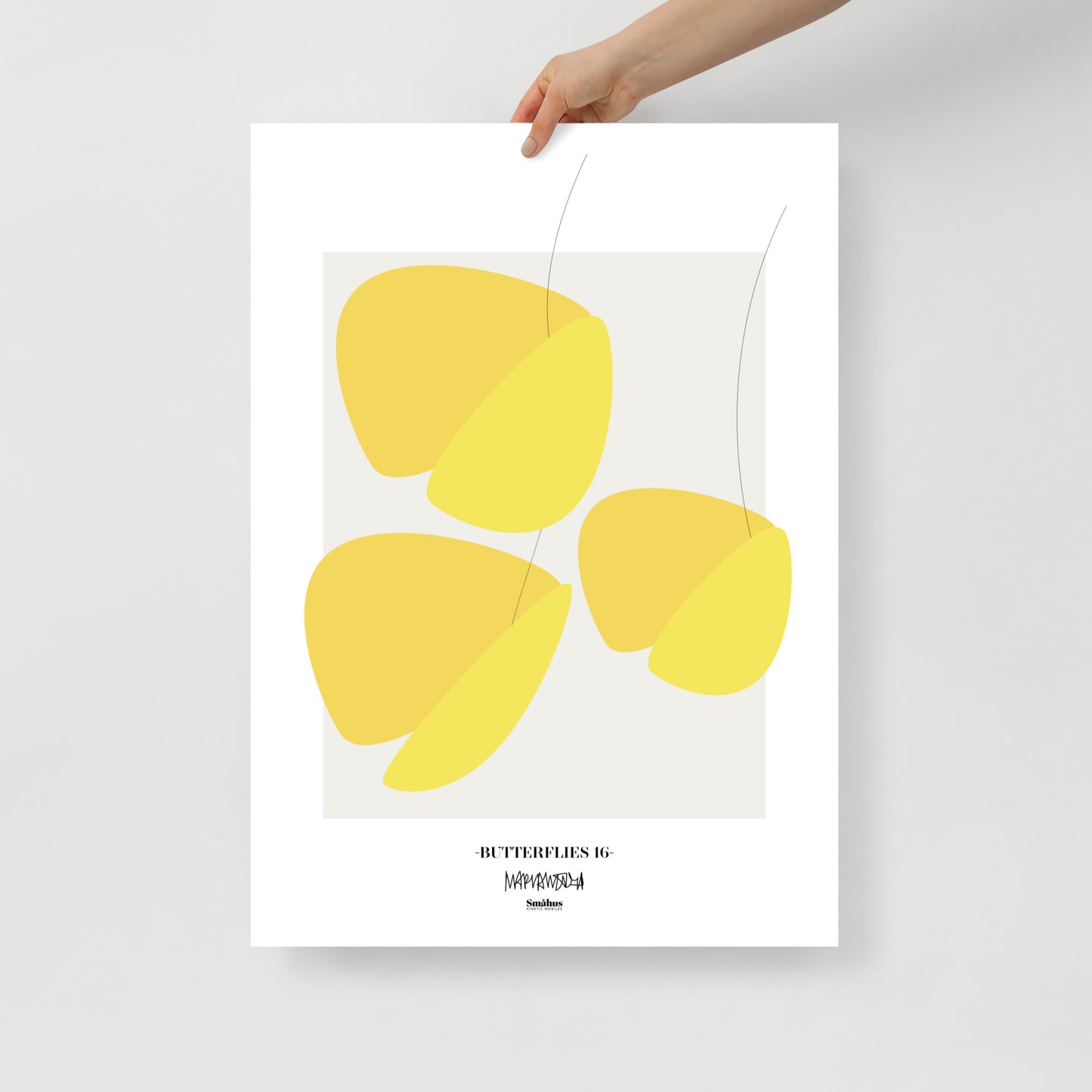 Poster Butterflies N.16